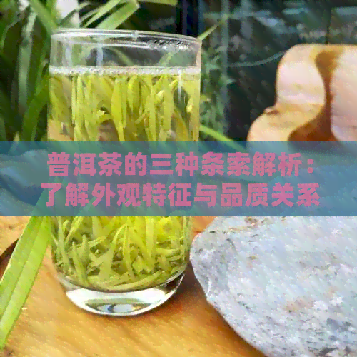 普洱茶的三种条索解析：了解外观特征与品质关系，让你成为普洱茶鉴高手