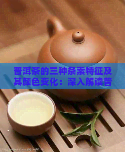 普洱茶的三种条索特征及其颜色变化：深入解读普洱茶的品质与口感