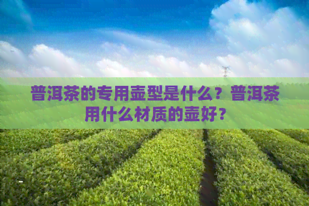 普洱茶的专用壶型是什么？普洱茶用什么材质的壶好？