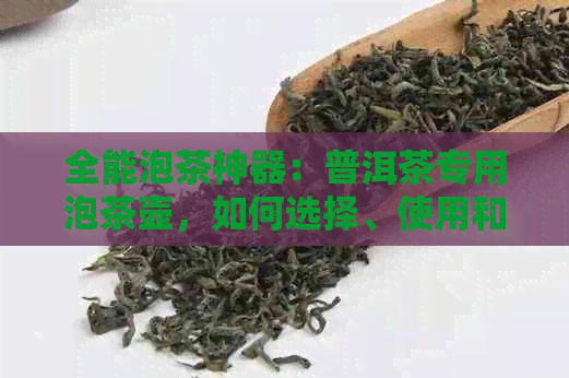 全能泡茶神器：普洱茶专用泡茶壶，如何选择、使用和保养一网打尽