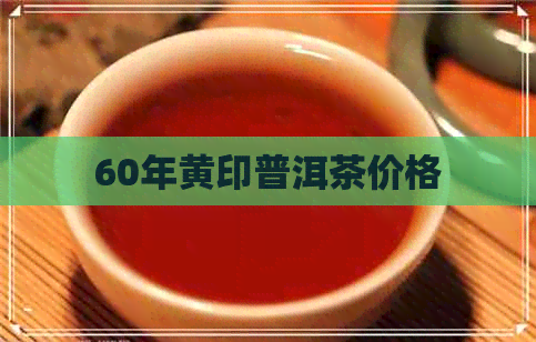 60年黄印普洱茶价格