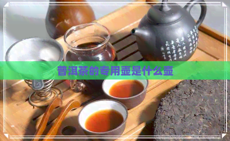 普洱茶的专用壶是什么壶