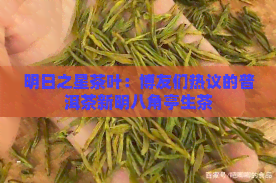 明日之星茶叶：博友们热议的普洱茶新明八角亭生茶