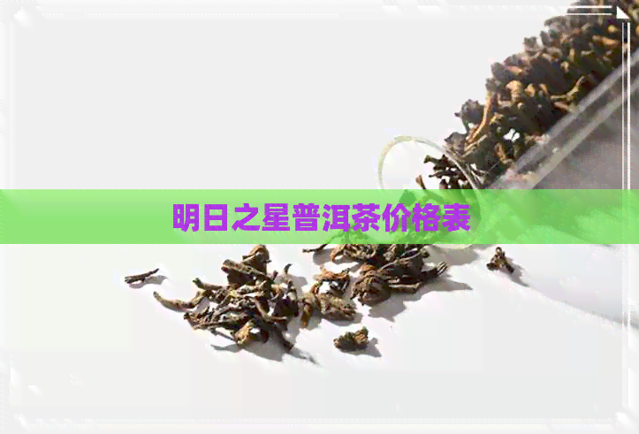 明日之星普洱茶价格表