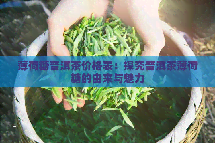 薄荷糖普洱茶价格表：探究普洱茶薄荷糖的由来与魅力