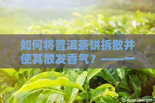 如何将普洱茶饼拆散并使其散发香气？——一份全面解决用户疑惑的解答