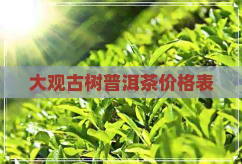 大观古树普洱茶价格表