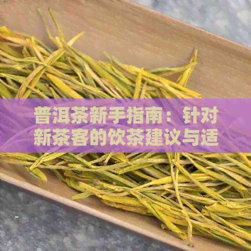 普洱茶新手指南：针对新茶客的饮茶建议与适合品种推荐