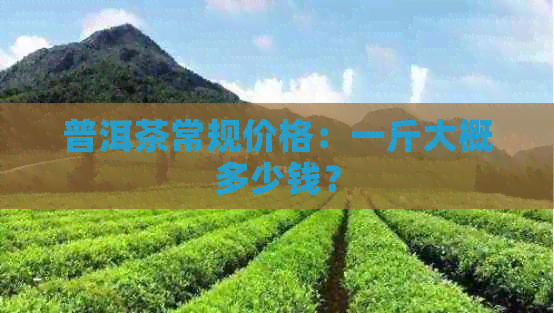 普洱茶常规价格：一斤大概多少钱？