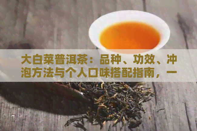 大白菜普洱茶：品种、功效、冲泡方法与个人口味搭配指南，一文全面解析！