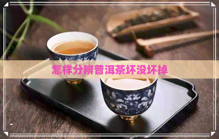 怎样分辨普洱茶坏没坏掉