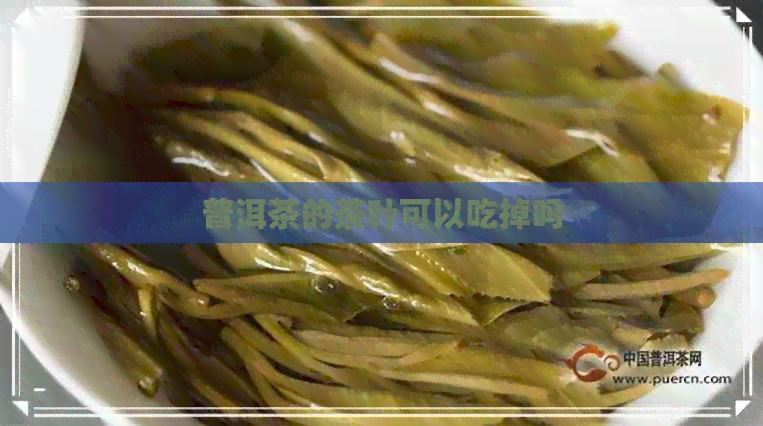 普洱茶的茶叶可以吃掉吗