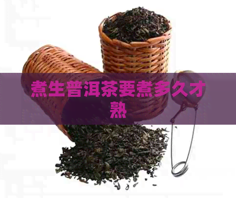 煮生普洱茶要煮多久才熟