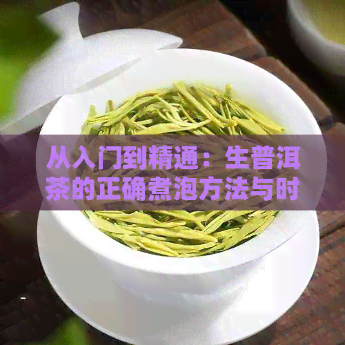 从入门到精通：生普洱茶的正确煮泡方法与时间解析