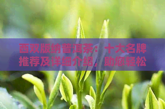 西双版纳普洱茶：十大名牌推荐及详细介绍，助您轻松选购优质茶叶