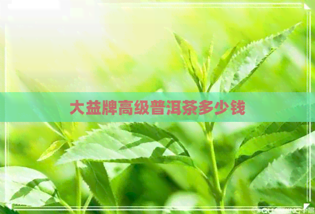 大益牌高级普洱茶多少钱