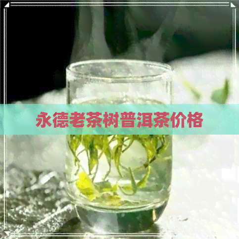 永德老茶树普洱茶价格