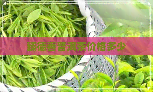 臻德善普洱茶价格多少