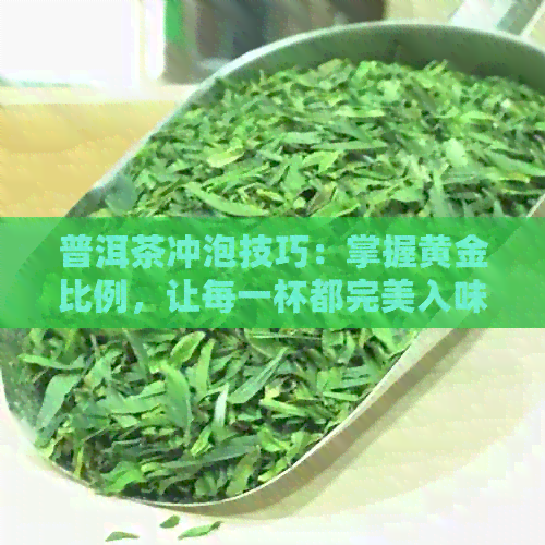 普洱茶冲泡技巧：掌握黄金比例，让每一杯都完美入味