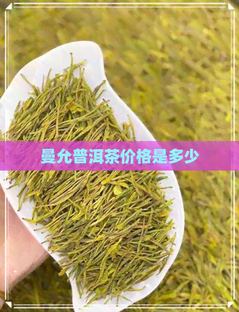 曼允普洱茶价格是多少