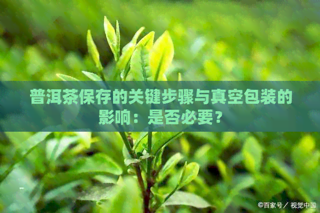 普洱茶保存的关键步骤与真空包装的影响：是否必要？