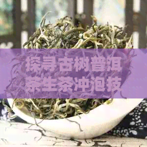 探寻古树普洱茶生茶冲泡技巧：如何让普洱茶更美味