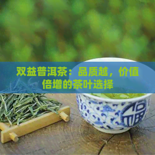 双益普洱茶：品质越，价值倍增的茶叶选择