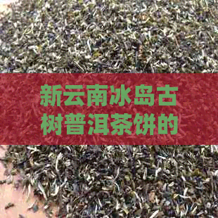 新云南冰岛古树普洱茶饼的批发价及货源探讨