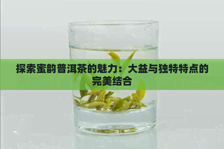 探索蜜韵普洱茶的魅力：大益与独特特点的完美结合