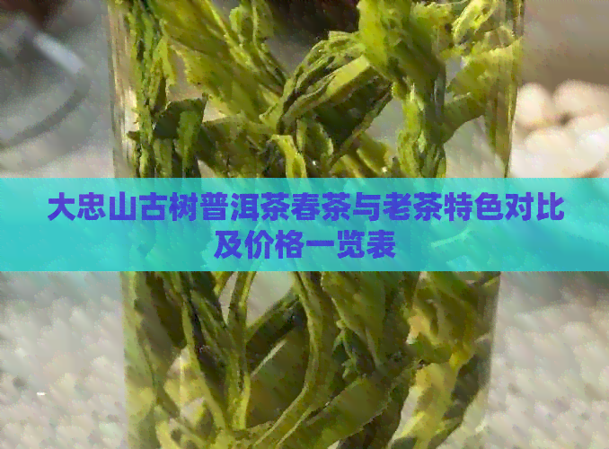 大忠山古树普洱茶春茶与老茶特色对比及价格一览表