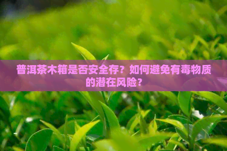 普洱茶木箱是否安全存？如何避免有物质的潜在风险？