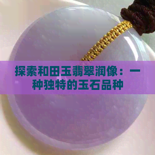 探索和田玉翡翠润像：一种独特的玉石品种