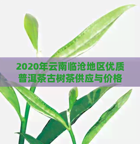 2020年云南临沧地区优质普洱茶古树茶供应与价格分析