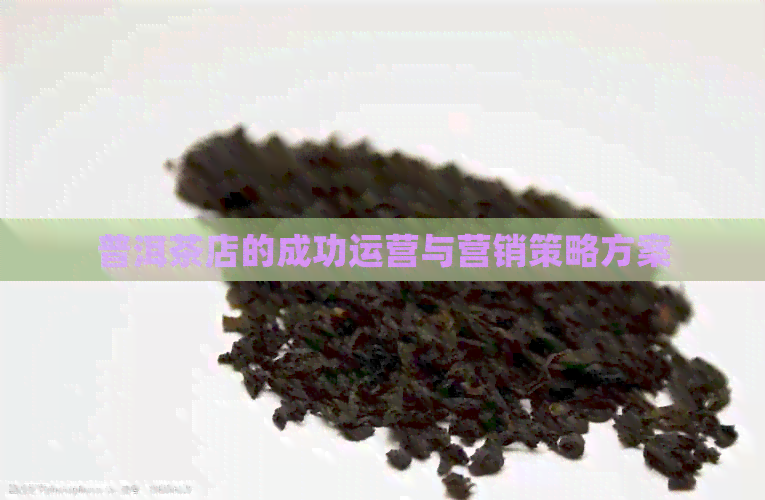 普洱茶店的成功运营与营销策略方案