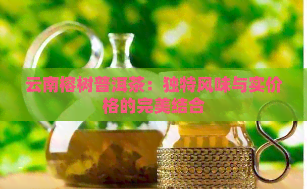 云南榕树普洱茶：独特风味与实价格的完美结合