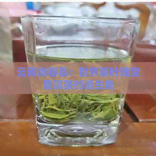 云南绿春县：世界茶叶瑰宝普洱茶的诞生地