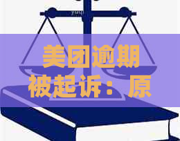 美团逾期被起诉：原因、影响与解决办法，让你全面了解这一！