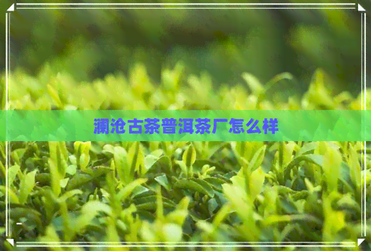 澜沧古茶普洱茶厂怎么样