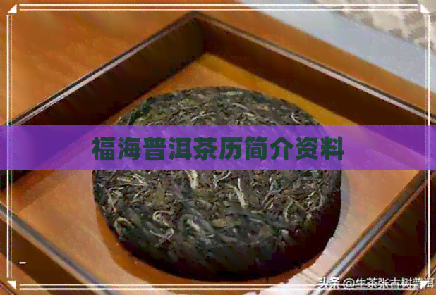 福海普洱茶历简介资料