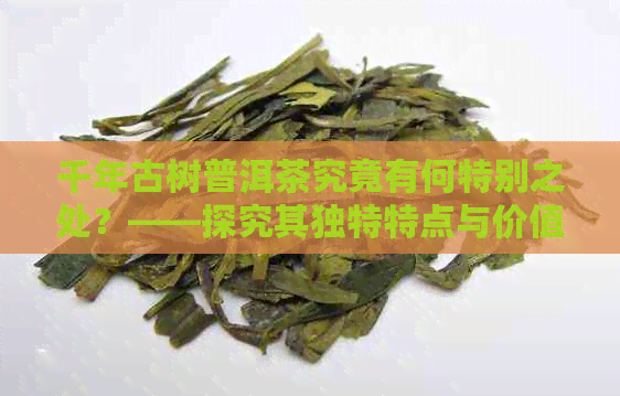 千年古树普洱茶究竟有何特别之处？——探究其独特特点与价值