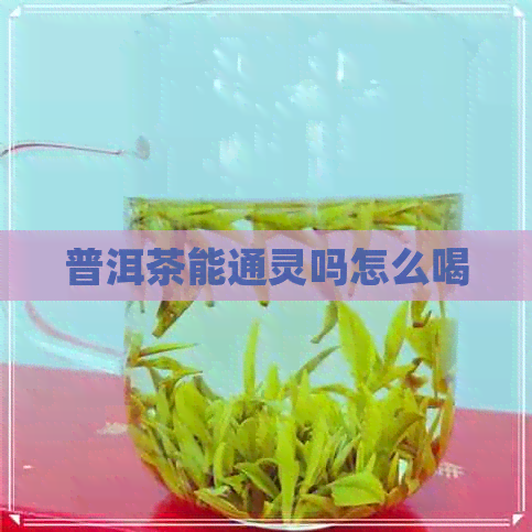 普洱茶能通灵吗怎么喝