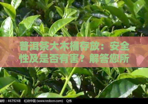 普洱茶大木桶存放：安全性及是否有害？解答您所有疑问