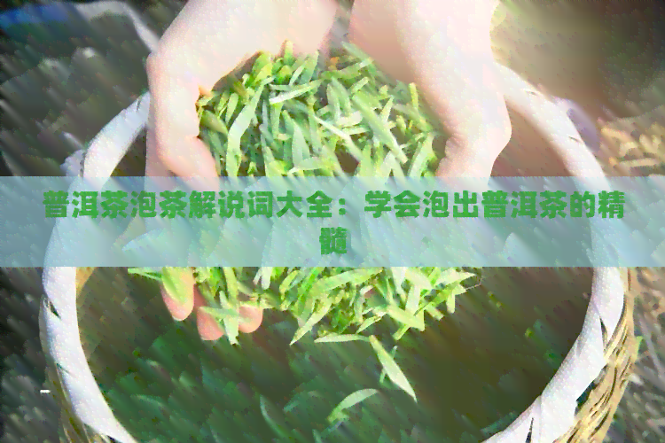 普洱茶泡茶解说词大全：学会泡出普洱茶的精髓