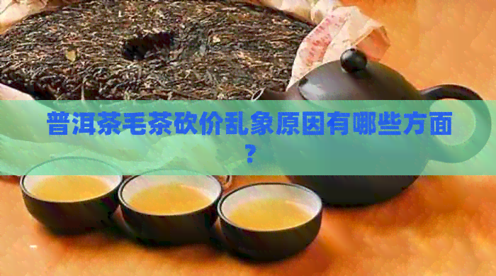 普洱茶毛茶砍价乱象原因有哪些方面？