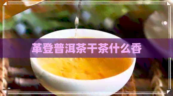 革登普洱茶干茶什么香