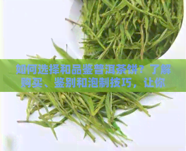 如何选择和品鉴普洱茶饼？了解购买、鉴别和泡制技巧，让你成为茶叶专家