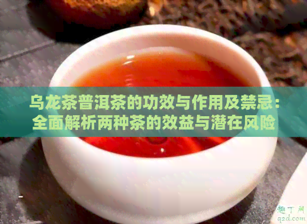 乌龙茶普洱茶的功效与作用及禁忌：全面解析两种茶的效益与潜在风险