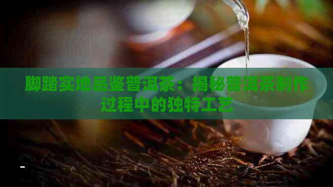 脚踏实地品鉴普洱茶：揭秘普洱茶制作过程中的独特工艺