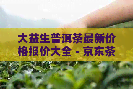 大益生普洱茶最新价格报价大全 - 京东茶叶场