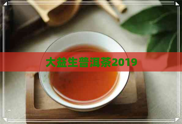 大益生普洱茶2019